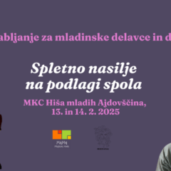 Usposabljanje za mladinske delavce: spletno nasilje na podlagi spola