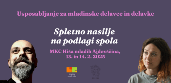 Usposabljanje za mladinske delavce: spletno nasilje na podlagi spola