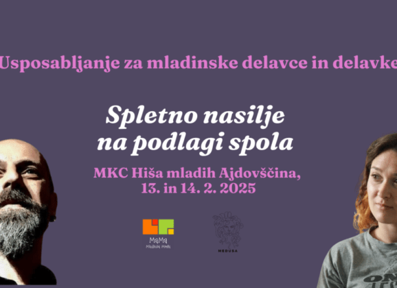 Usposabljanje za mladinske delavce: spletno nasilje na podlagi spola