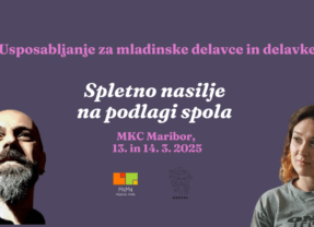 Usposabljanje na temo spletnega nasilja na podlagi spola za mladinske delavke in delavce v Mariboru