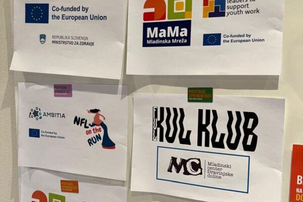 razširimo rezultate mreža mama mladinski sektor 9